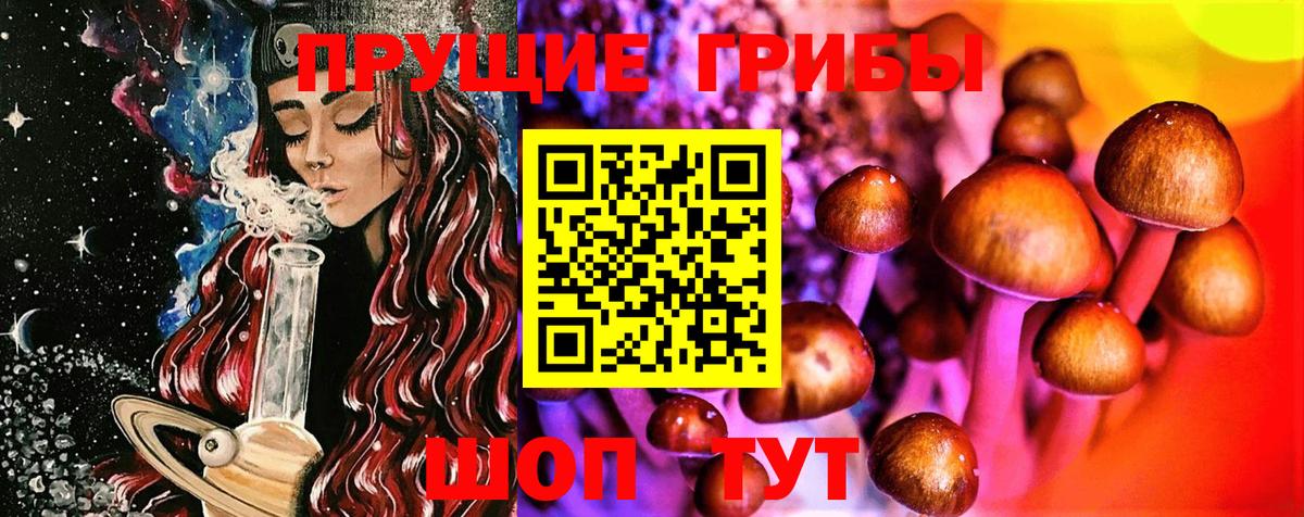 Галлюциногенные грибы Psilocybe Асбест