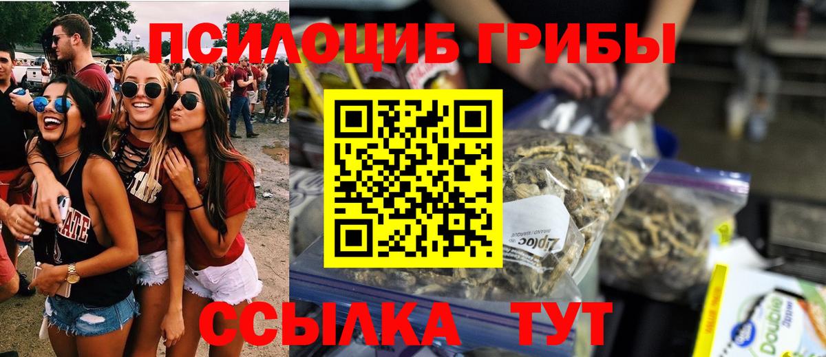 закладка  Псилоцибиновые грибы Psilocybine cubensis  Псилоцибиновые грибы мицелий  Вход с VPN  Асбест 